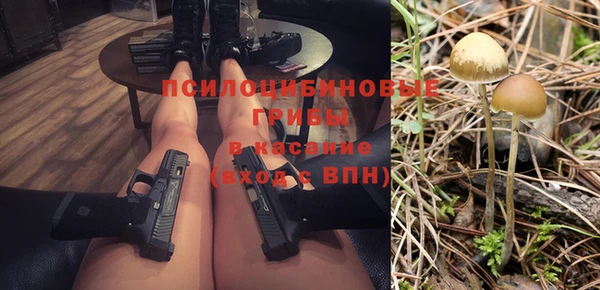 соль ск Балахна